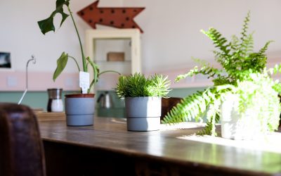 7 Ways To Avoid The Sunday Scaries