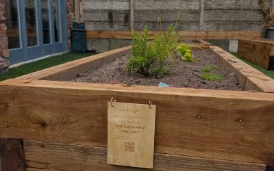 From Desk to Dirt: Growing Fruit & Veg in Our Urban Coworking Space